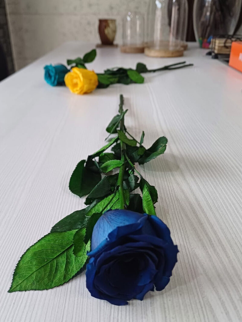 Preserved Rose Stem