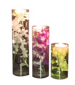 Orchid Delight- Set of 3