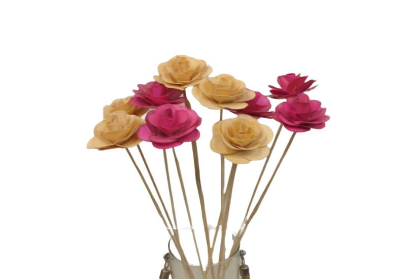 Palm Rose