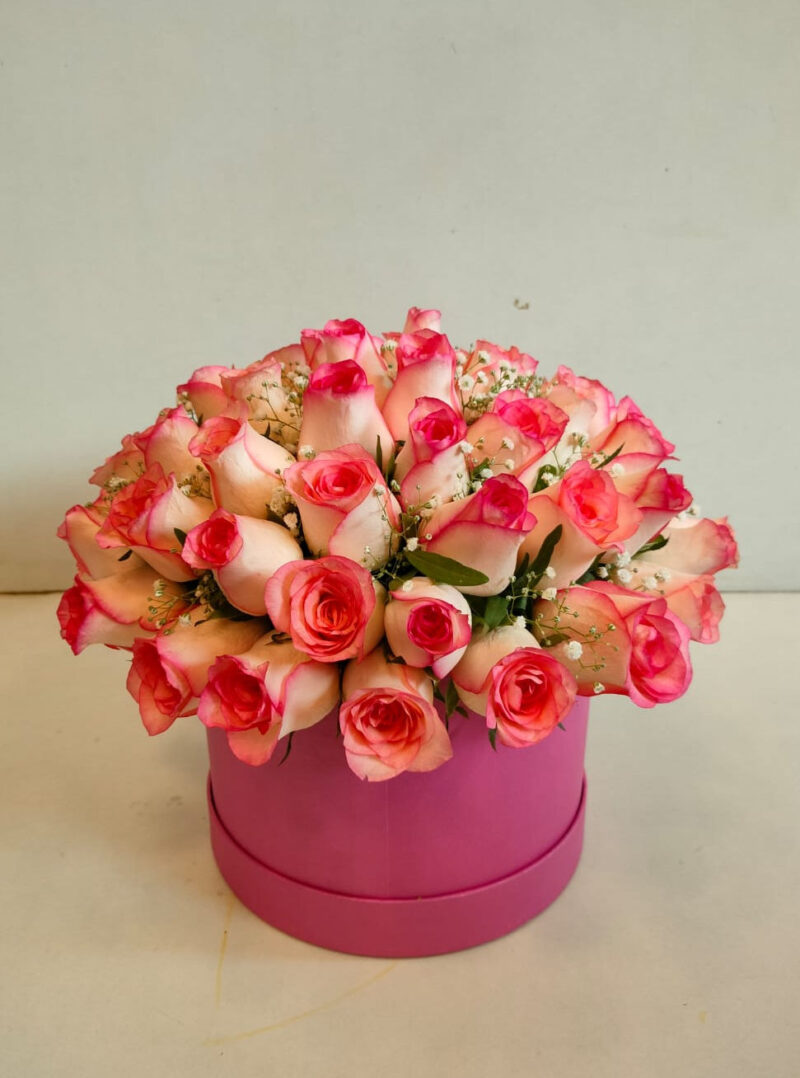 Shaded Pink Rose in Box
