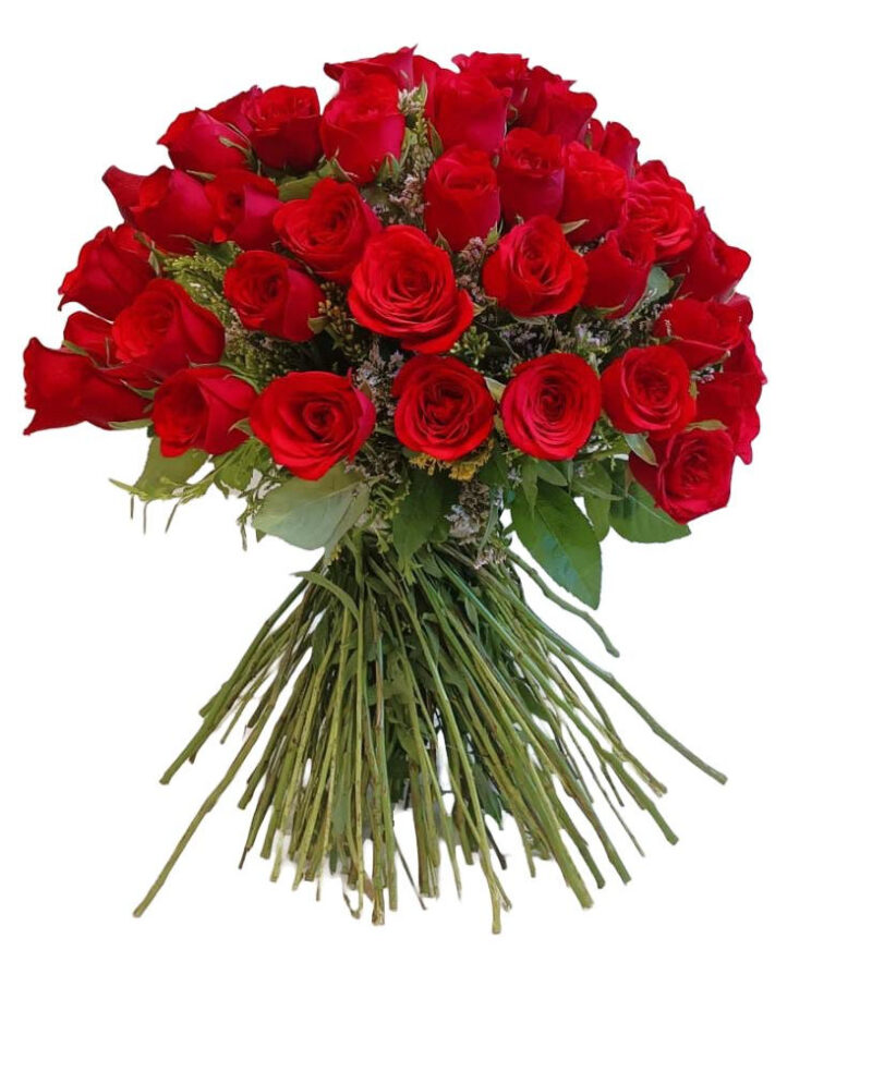 Rose everyday!