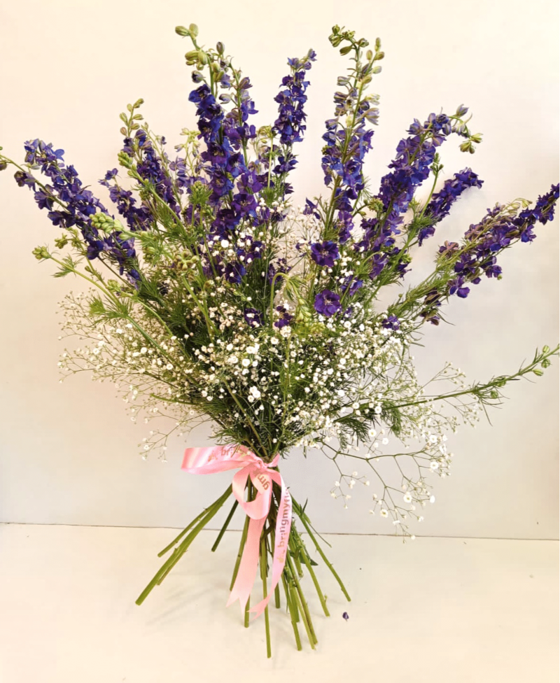 Larkspur Lane