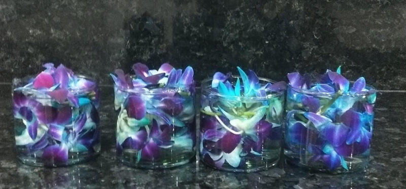 Orchids in Vase