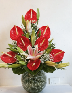 Lilies & Anthuriums Floral Arrangement in a Fish Bowl Vase