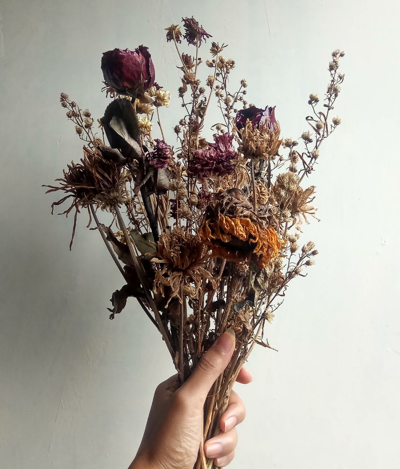 Dry Flowers