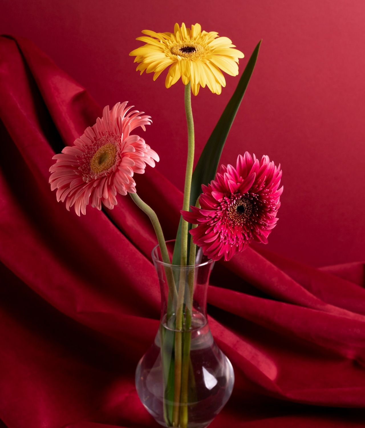 Flowers By Stem